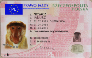 Kup teraz - Polskie Prawo Jazdy Kolekcjonerskie - Wzór 2013r. – Cena: 1350 PLN - Tylko w naszym sklepie!