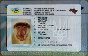 dokument kolekcjonerski - ukraińskie prawo jazdy kolekcjonerskie wzór aktualny